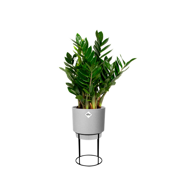 b.for studio rond 22cm living concrete